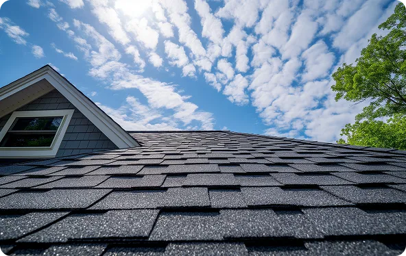 Asphalt Single Roofing
